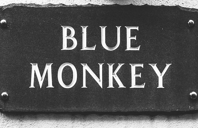Blue Monkey - Foto 27