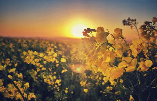 Altes Pfarrhaus Gondershausen - Foto 43