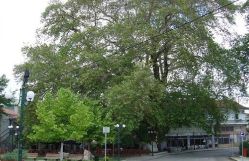 Cozy Place living - Foto 51