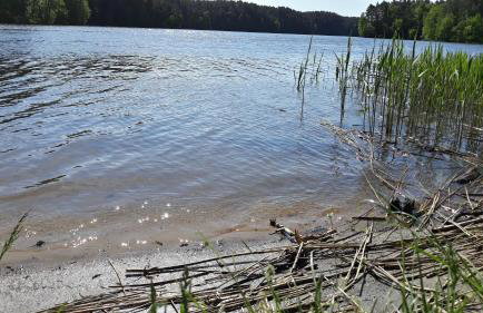 Calm House Krzynia - dom nad jeziorem do wynajęcia - Foto 48