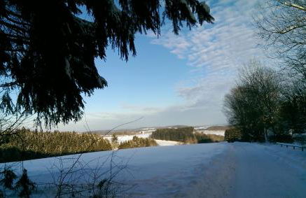 Haus am Wald - Foto 18