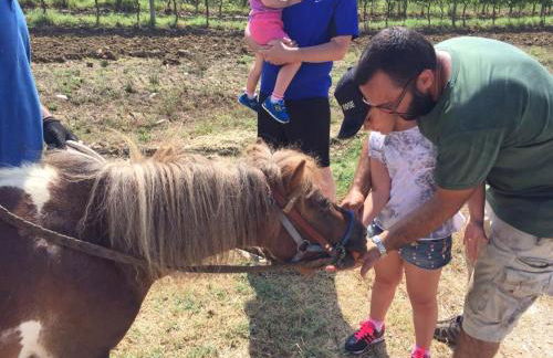 Agriturismo Scannano - Foto 50