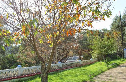 La Ermita by SIERRA VIVA - Foto 25