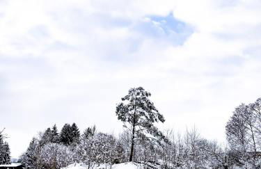 Ferienwohnungen zur Stadtmauer - Photo 29