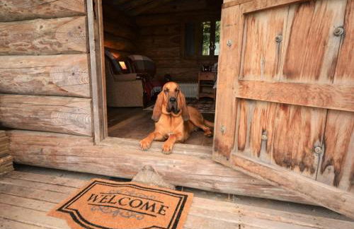 1 Bed in Gunnislake oc-54164 - Foto 7