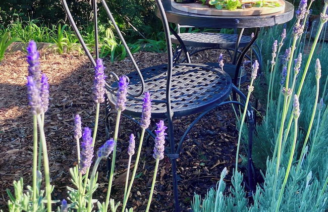 One Wee Cottage, A Romantic Secluded Provincial Abode Surrounded by Vineyards - Foto 43