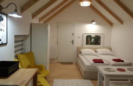 APARTAMENTY ZIELONY KAMELEON - Foto 69