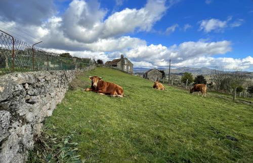 O Balcon Do Oitaven, vuestra finca privada en Galicia - Foto 11
