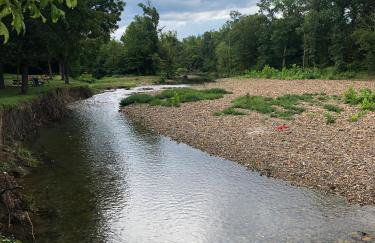 Collier Cabin on Collier Creek - Foto 52