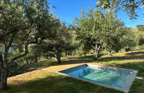 Quinta dos Piscos - Foto 75