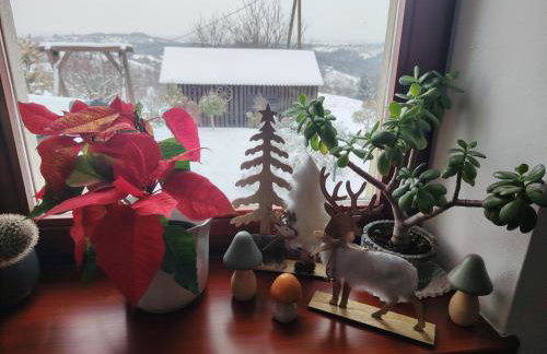 Kuća za odmor Sofija - Foto 60