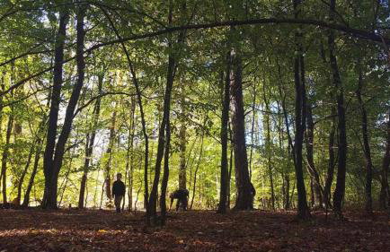 Malanówka II Radęcin - Foto 11