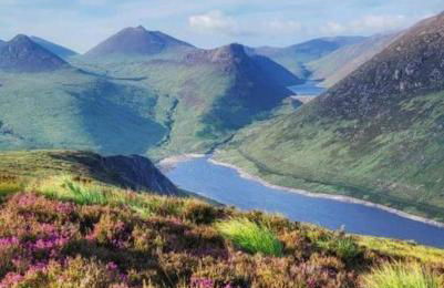 Pebble Creek Apartment - Foto 30