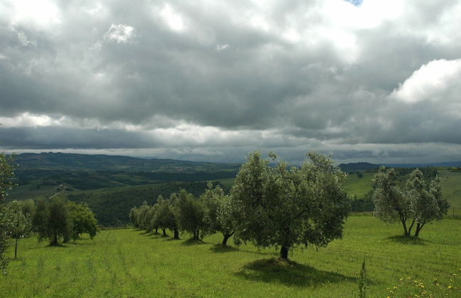 Agriturismo Pian di Frattina - Foto 13