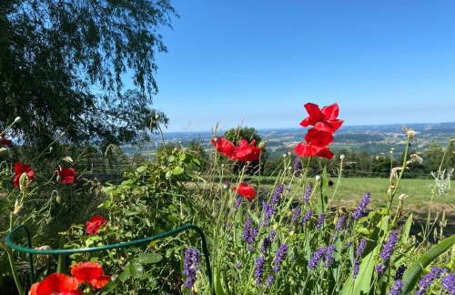 Berg-Panorama-Ferienwohnungen Gut-Lichtenau - Foto 71