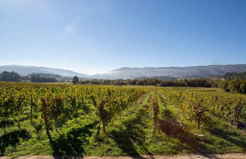 Quinta De Vila Nova - Agroturismo - Foto 57