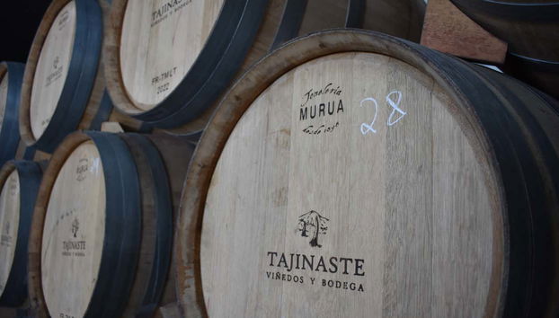 Tour in Puerto de la Cruz - Photo 5