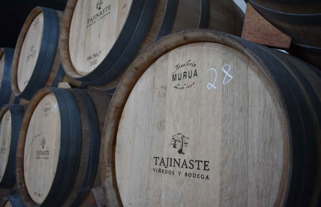 Tour in Puerto de la Cruz - Photo 5