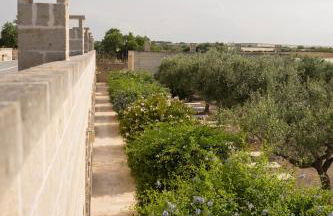 Masseria Agrituristica Lama San Giorgio - Foto 18