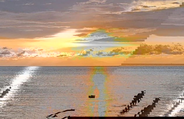 Villa Teman - Foto 34