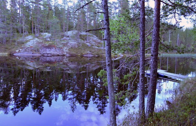 Salkolahti Tontti - Foto 22