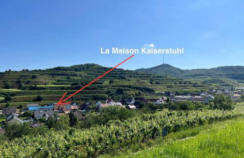 La Maison Kaiserstuhl mit Sauna - Foto 33