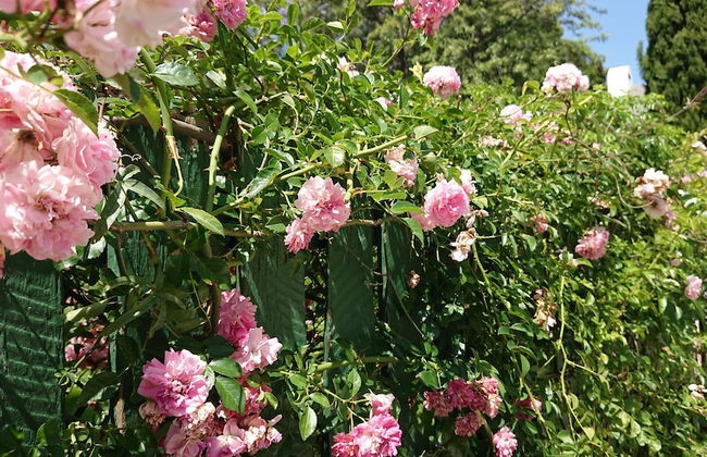 47 Berg Street - Photo 27