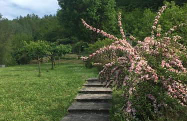 Comfortable house with pool in Castelnuovo di Garfagnana - Foto 27