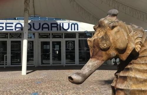 Studio Cabine avec terrasse ensoleillée, piscines, parking privé, à 500m de la plage - FR-1-307-133 - Foto 22