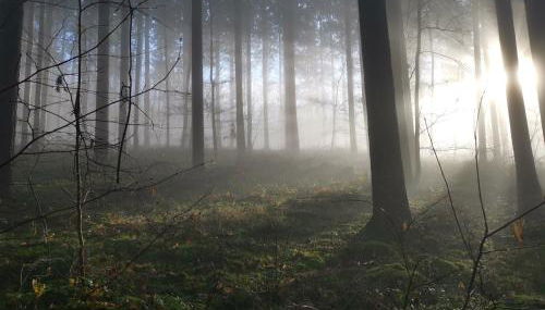 Auszeit in Märkische Schweiz - Foto 5