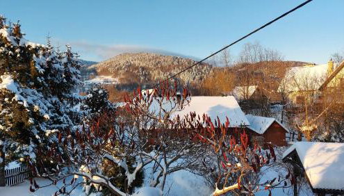 Cottage Zawoja z Jacuzzi - Foto 5, Garden view