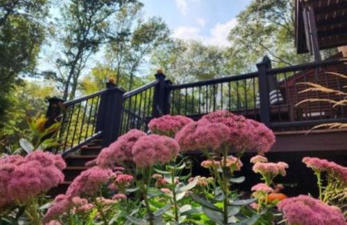 Mystic, Foxwoods, Beaches, Waterpark, Hells Kitchen! - Foto 23