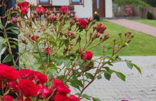 Słoneczna Chałupka - Foto 51