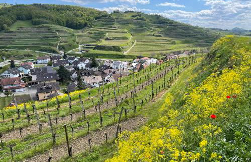 Weingut & Straußwirtschaft Vogel - Foto 46