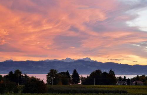 Landhaus Vogel - helle und lichtdurchflutete Maisonette-Ferienwohnung - Foto 21