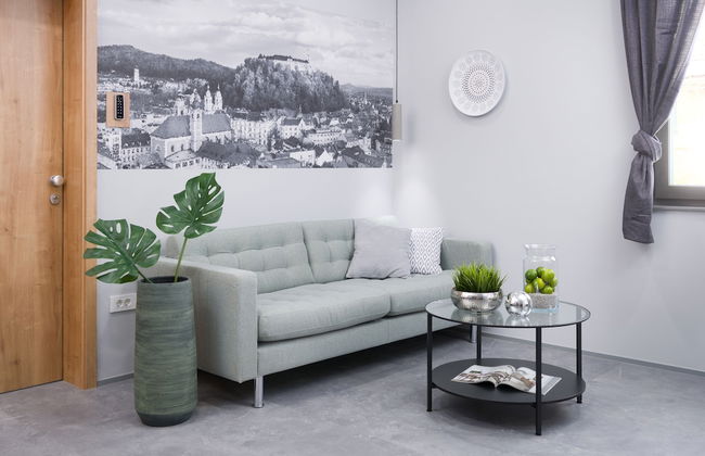 Vila Emona - Central Apartments - Free Parking - Photo 3