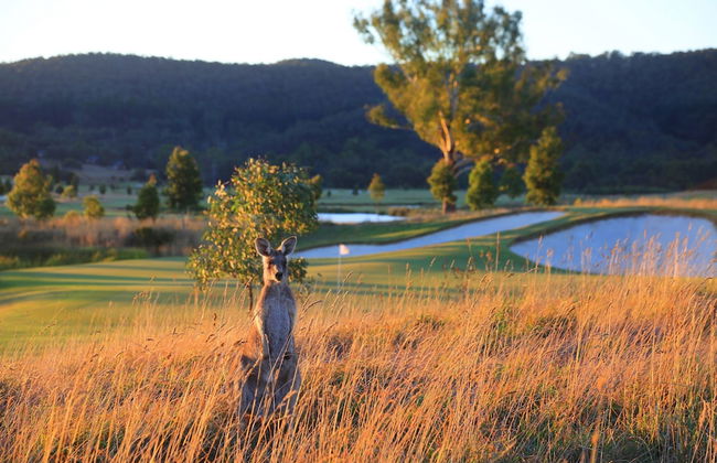 Yering Gorge Cottages - Foto 36