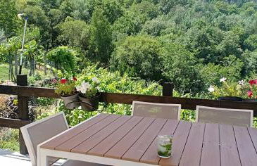 Casa da Viña - Ribeira Sacra - Foto 8