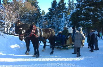 Panoramaferienwohnung Bergwiese - Foto 26