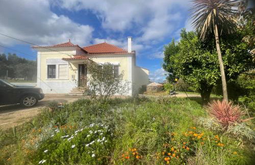 Quinta Pura Natura - Foto 8