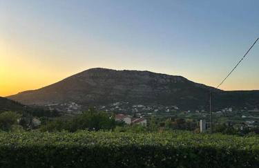 Altera Vita - Foto 72