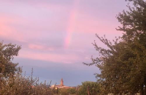 Casa Angelina Altopascio Lucca - Photo 32