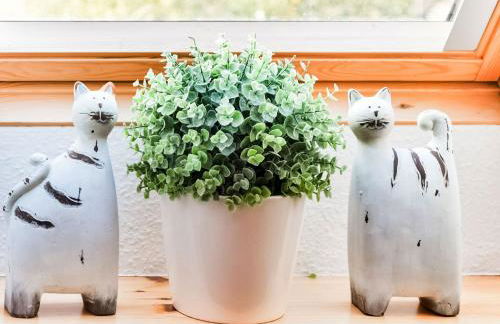 Modernes Ferienhaus in Thorstorf mit Sauna - Foto 69