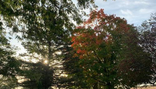 Large Farmhouse near RA, Kohler and Golf. Exclusive amenities and room for all! - Foto 2