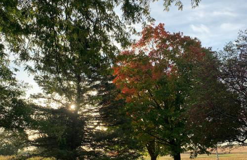 Large Farmhouse near RA, Kohler and Golf. Exclusive amenities and room for all! - Foto 2