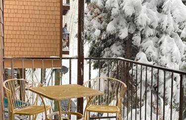 Eagle Point Ski Resort 9 Wooded Ridge Condos - Foto 19