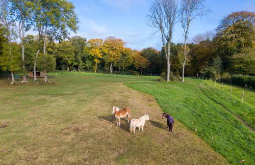 La Prairie - Foto 18