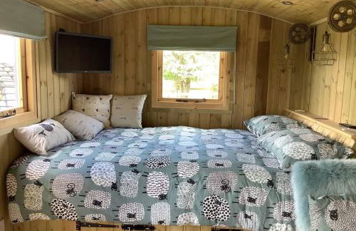 The Shepherds Hut at Hafoty Boeth - Photo 24