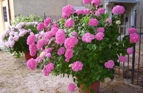 Agriturismo Dea - Photo 31