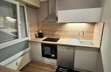 Maghy Appart à Strasbourg - Foto 14